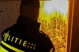 Politie ontdekt hennepkwekerij in Heemstede