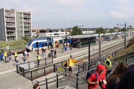 Gezellige drukte in Zandvoort