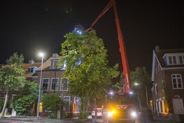 Brand in dak van woning in Haarlem