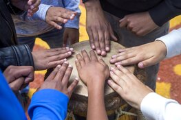 Cultuur @ Cruyff Courts Heemskerk