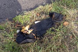 Luchtfilter in de brand op de Schipholweg in Haarlem