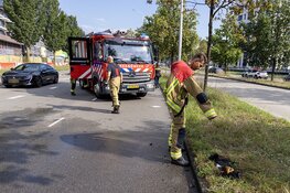 Luchtfilter in de brand op de Schipholweg in Haarlem