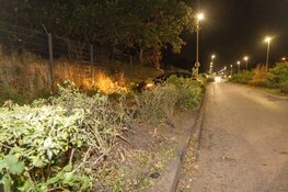 Tesla door heg tegen hekwerk na mislukte inhaalactie in Zandvoort