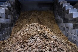 Food for Thought: Het Scheepvaartmuseum opent tentoonstelling over de verborgen wereld achter ons voedsel