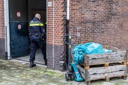 Hennepplantage in pand Poortstraat Haarlem