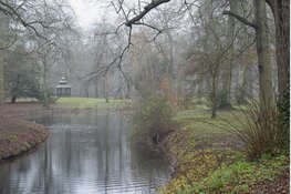 Kerst- en wintergroenexcursie Landgoed Velserbeek op zondag 17 december