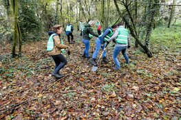 Het jaar afsluiten in de natuur met Meer Bomen Nu