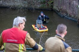 Kat gered uit water in Haarlem