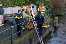 Kat gered uit water in Haarlem