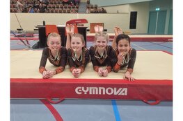 Gouden medailles voor Toss