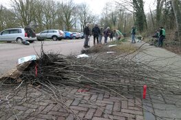 Deze winter ruim 1000 gratis boompjes uitgedeeld in Beverwijk en Heemskerk, nog 2000 om weg te geven