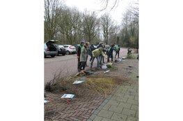 Deze winter ruim 1000 gratis boompjes uitgedeeld in Beverwijk en Heemskerk, nog 2000 om weg te geven