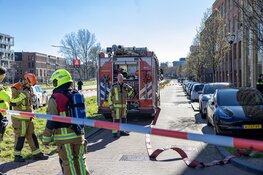 Hond gered bij brand in woning aan de Poeldijkweg in Haarlem