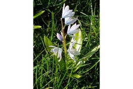 Wandeling  Park Assumburg