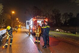 Auto in brand op Jan Gijzenkade in Haarlem