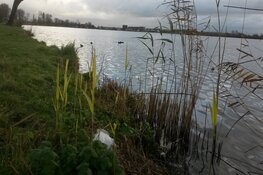 Opschonen Spaarne-oevers tijdens de Landelijke Opschoondag