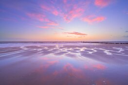 Lezing Bas Meelker ( o.a bekend van het perfecte plaatje ) – AI in de fotografie – Een vloek of een zegen?