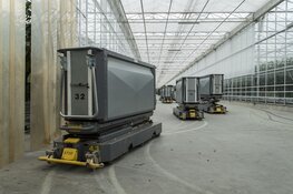 Expositie Het Nieuwe Leven  13 kunstenaars geven hun visie op Het Nieuwe Leven in het Raadhuis voor de Kunst in Oud-Velsen