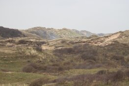 Flinke duinbrand bij Wijk Aan Zee