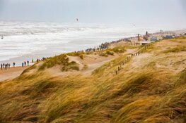 Meer dan 16.000 hardlopers trotseren stormachtige jubileumeditie Zandvoort Circuit Run