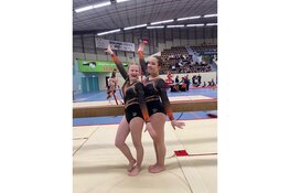 Heel veel finaleplaatsen voor TOSS