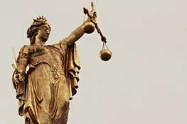 Meerdere ordeverstorende passagiers en bestuurders van drones veroordeeld