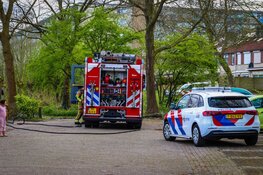 Brand bij tuinvereniging in Haarlem