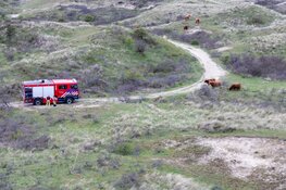 Tweede duinbrand op één dag in Wijk Aan Zee