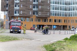 Tweede duinbrand op één dag in Wijk Aan Zee