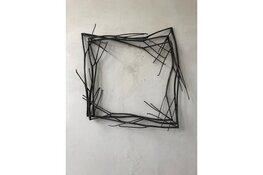 De natuur van Sjoerd Buisman