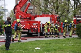 Brand ontstaan aan flat in Haarlem: hond gereanimeerd