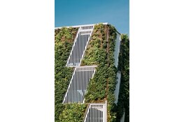 Een groenere stad worden met deze 4 tips