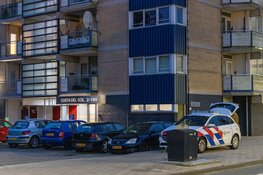 Politie heeft nacht handenvol aan verwarde man in Haarlem