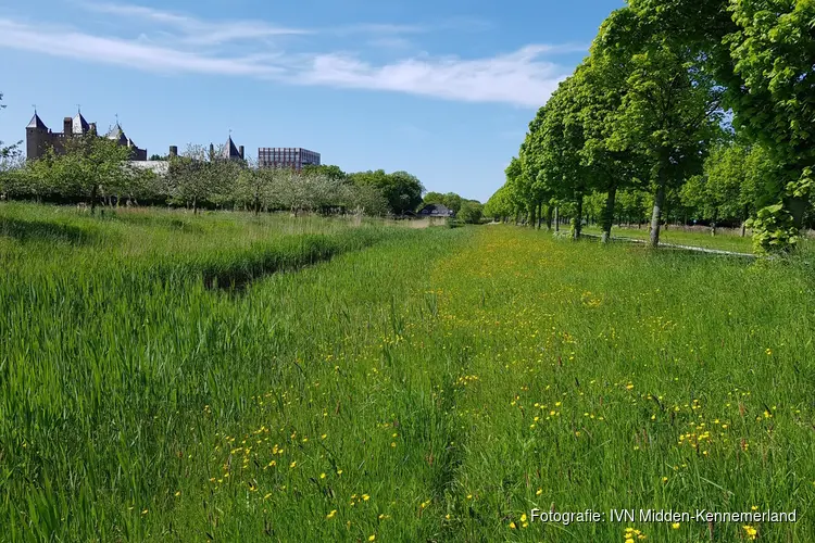 Het gaat zomeren in Park Assumburg