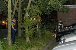 Brandstichter op heterdaad aangehouden na drie brandstichtingen in Haarlem