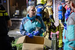 Bewoners uit brandende woning gevlucht en kat gered in IJmuiden