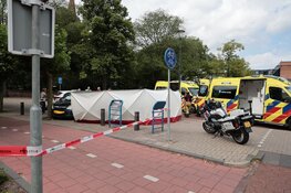 Auto tegen boom gereden in Heemskerk