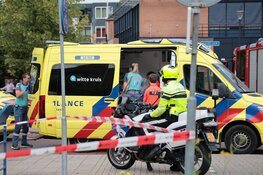 Auto tegen boom gereden in Heemskerk