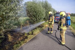 Stuk natuurgebied in brand langs de Westlaan in Velserbroek