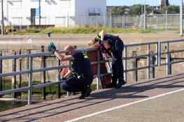 Extinction Rebellion blokkeert opnieuw cruiseschip, politie grijpt in