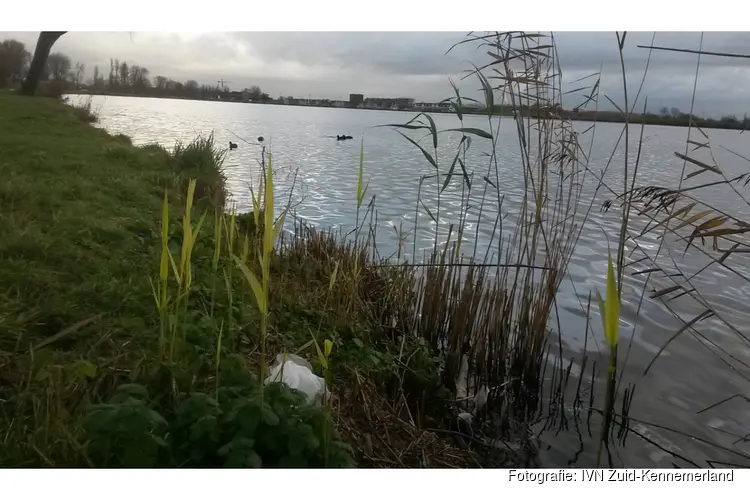 Opschonen oevers van het Spaarne