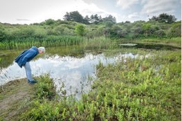 Vrijwilligers herstellen paddenpoel!