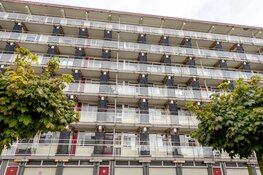 Getuigen gezocht beschieting woning Haarlem