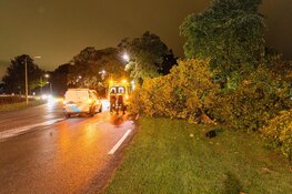 Eenzijdig ongeluk op Rijksweg in Velsen-Zuid