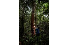 Michelle Piergoelam – The Untangled Tales