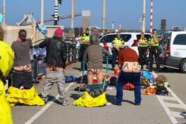 Demonstratie bij sluis in IJmuiden: cruiseschip neemt andere sluis