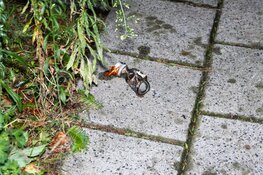 Opnieuw een autobrand in Haarlem