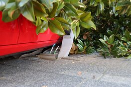 Auto rijdt tegen elektriciteitskast en boom in Beverwijk