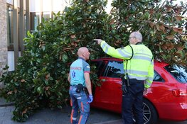 Auto rijdt tegen elektriciteitskast en boom in Beverwijk