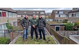 Start een buurtactie groene daken!
